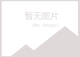 隆回县晓夏咨询有限公司